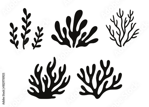 Stylized black silhouettes of diverse aquatic plants, seaweed, and coral branches. graphic vector illustrations for marine life and ocean themes.