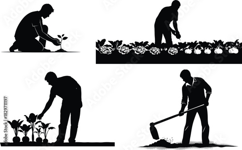 Silhouetted farmers working in fields planting weeding and cultivating crops