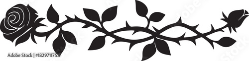 beautiful long element of rose interlacing thorns silhouette vector