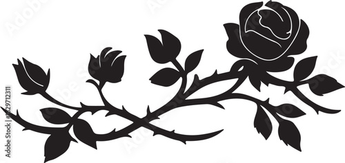 Rose Vine with Thorns Silhouette Vector