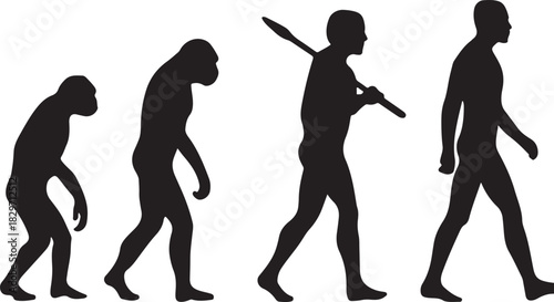 Silhouette of theory of evolution of man silhouette vector on a white backgraound
