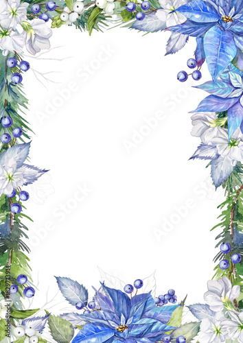 Watercolor Christmas frame with hand-painted blue poinsettias, white matthiola, berries, fir branches, and silver elements on a transparent background.