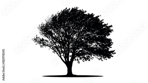 Broken railroad tracks with barrier sign silhouette