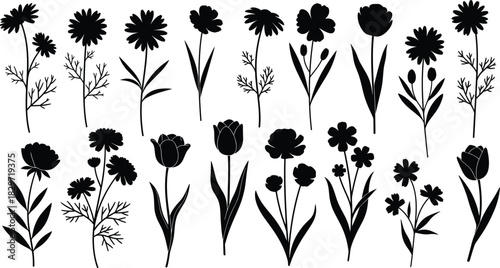 Diverse set of wildflower and garden flower vector silhouettes, black botanical graphic elements including tulips and daisies for nature designs, spring greeting cards, and floral decoration.