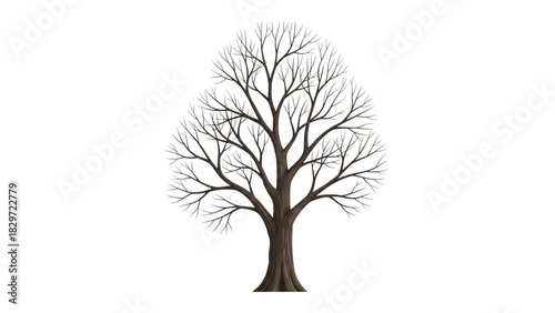 Bare Tree Silhouette Against Black Backdrop Moody and Simple Art