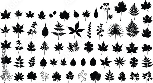 Large collection of diverse leaf silhouettes, black monochrome vector illustration set featuring maple, ferns, herbs, and tropical foliage, ideal for nature design and patterns, isolated.