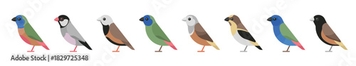 Set of Line Art Bird Icons Featuring Songbirds  in Minimal Style. Collection of bird sketches, featuring various species in different poses, perfect for nature themed designs, vector illustration.