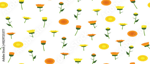 Calendula flowers. Bright natural orange  background. The medicinal plant Calendula officinalis is commonly known as marigolds.