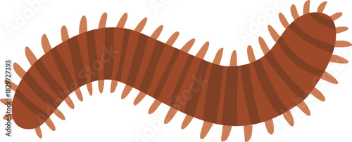 Segmented millipede worm