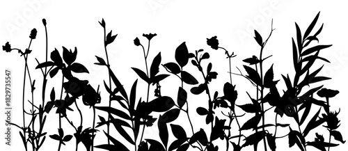 Silhouettes of spring-, summer- glade. Black basis for design on white background