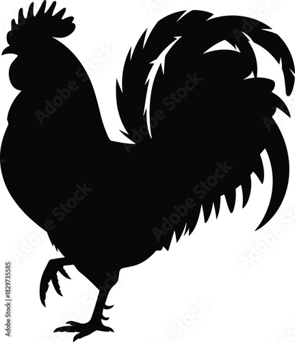 Magnificent rooster or cockerel silhouette standing proudly with a large tail and prominent comb, illustrating farm life, isolated on white background