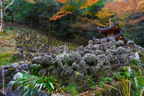 Vászonkép Hundreds of Rakan Statues at Otagi Nenbutsu-ji Temple in Autumn, Japan
