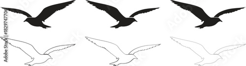Set of three flying bird silhouettes and line art icons