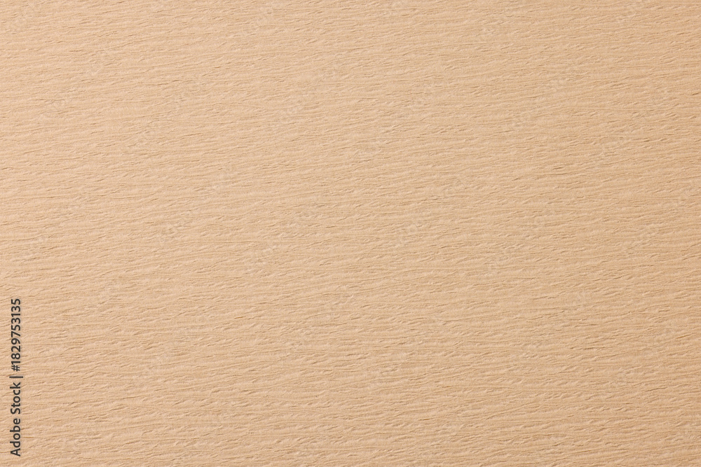 Fototapeta premium 上品なベージュの和紙背景素材 Subtle Beige Washi Texture Background