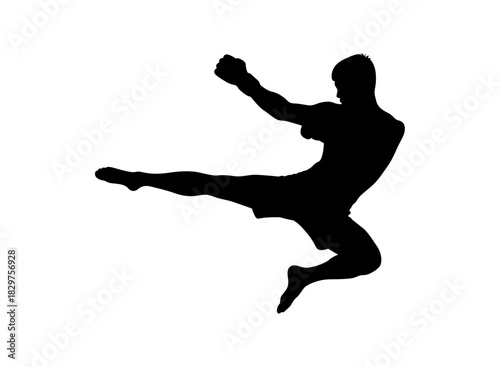 Silhouette of a man performing a flying kick in martial arts