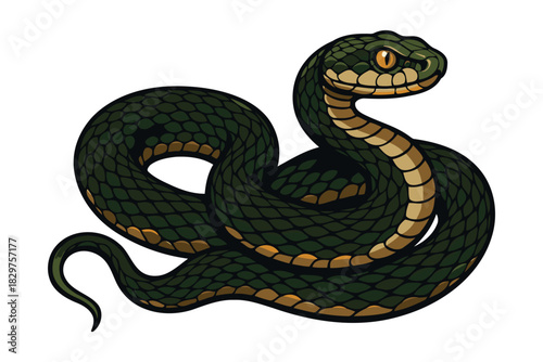 A coiled dark green viper snake with yellow markings on its belly and a menacing expression on a white background