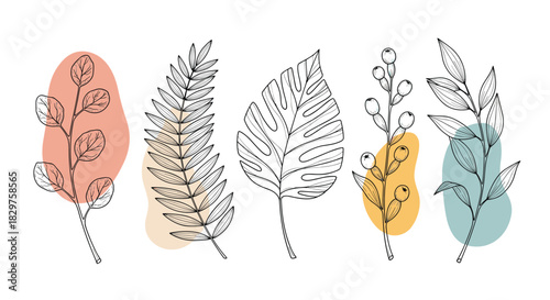 Stylish collection of outline botanical illustrations featuring diverse foliage and berries, complemented by artistic abstract shapes.