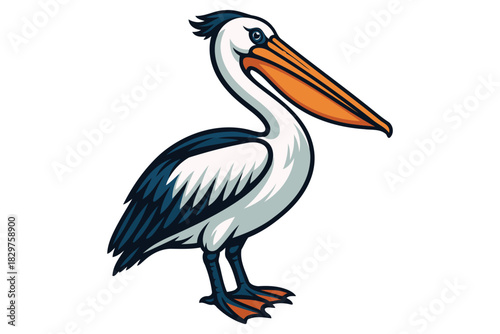 A charming cartoon illustration of a white pelican with a large orange beak and dark blue wings standing on its feet