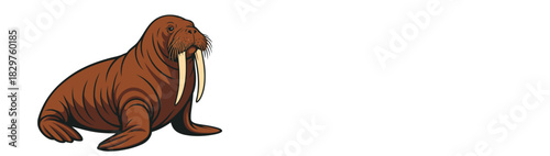 A detailed illustration of a large brown walrus with prominent tusks sitting upright on a white background showcasing its unique features