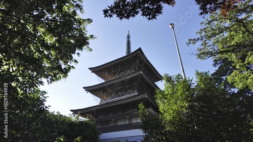 Looking up at a tall, elegant Japanese pagoda from under the trees on a summer day in Nagano, Japan.