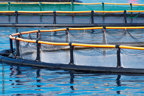 Photography Fish farming enclosures on clear blue water