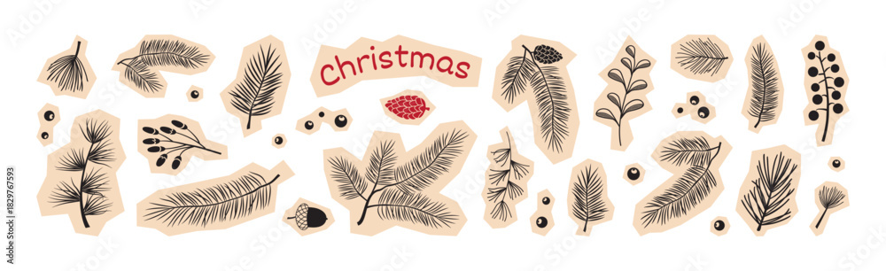 Naklejka premium Christmas fir tree, pine cone sticker, winter plant paper scrapbook. Holly berry, black branch needle. Holiday evergreen twig set for New Year isolated on white bg. Xmas nature vector illustration