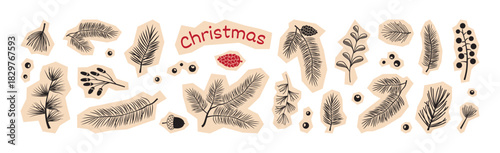Christmas fir tree, pine cone sticker, winter plant paper scrapbook. Holly berry, black branch needle. Holiday evergreen twig set for New Year isolated on white bg. Xmas nature vector illustration