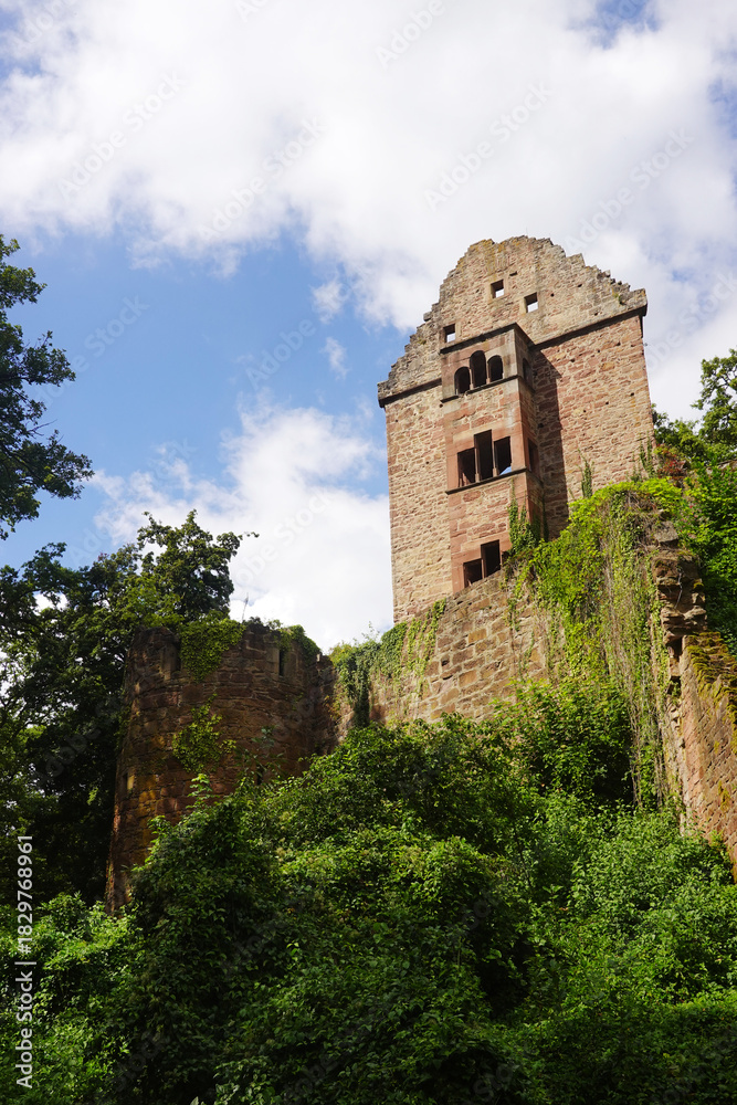 Naklejka premium Minneburg castle in Neckargerach in Baden-Wuerttemberg, Germany 