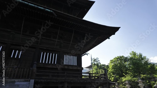 Walking past a large wooden temple hall reveals a pagoda in the distance, behind trees, in Nagano, Japan.