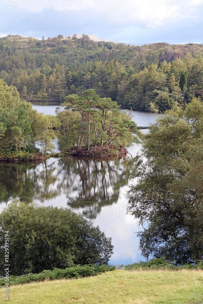 Fototapeta premium Island with trees and heather, Tarn Hows, Lake District Cumbria, England 