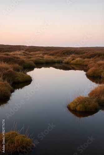 Mires and pools across a peat bog