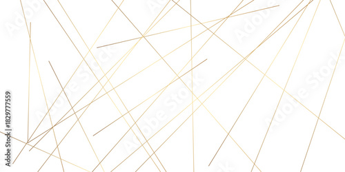 Abstract background with lines. Golden lines on White paper. Line wavy abstract vector technology line pattern background.