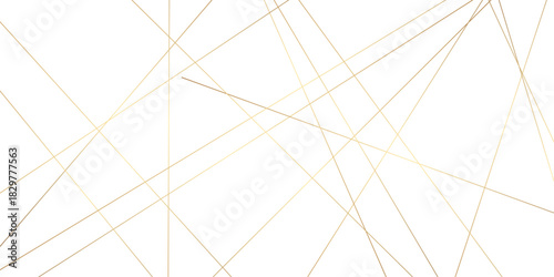 Abstract background with lines. Golden lines on White paper. Line wavy abstract vector technology line pattern background.