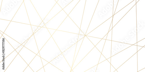 Abstract background with lines. Golden lines on White paper. Line wavy abstract vector technology line pattern background.