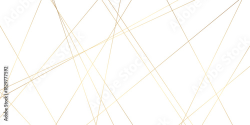 Abstract background with lines. Golden lines on White paper. Line wavy abstract vector technology line pattern background.