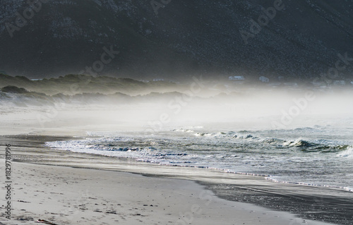 early morning beach scene with fog or mist above the white sand dunes and vegetation showing sea water swash or backwash at the waters edge on the shoreline