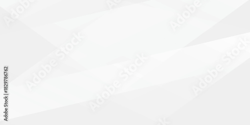 Elegant abstract background featuring subtle geometric shapes and soft gradients in white and light gray.