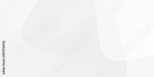 Elegant abstract background featuring soft, flowing white and light gray curves creating a sense of depth and subtlety.