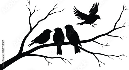 Four striking black bird silhouettes gracefully interacting on bare tree limbs under a bright sky