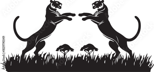 Fighting tigers silhouette illustration vector.