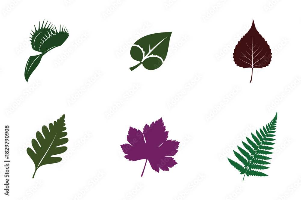 Obraz premium Botanical illustration of various leaves in different colors on white background
