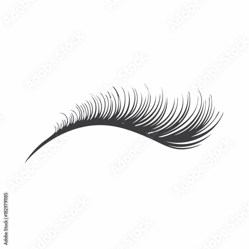 Elegant eyelash extension illustration for beauty and fashion concepts design