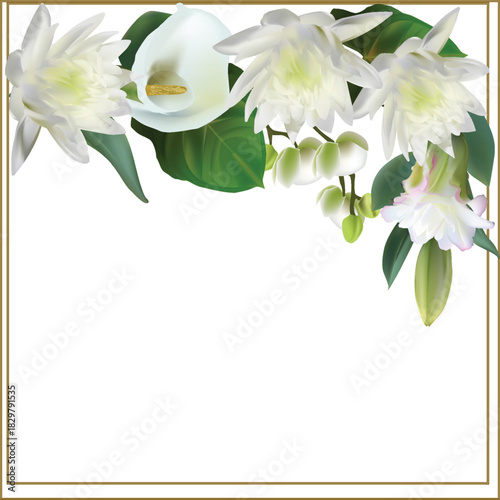 lotus and lily light flowers bunch isolated on white