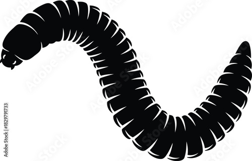 Segmented insect larva outline illustration