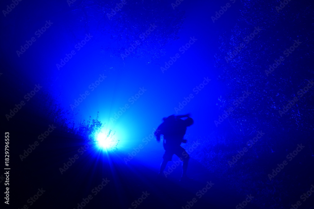 Fototapeta premium colorful lights in the fog