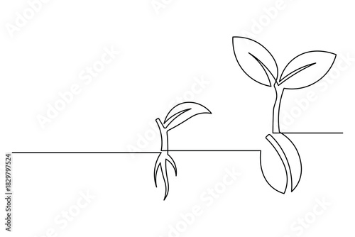 Single line drawing stages of seed germination growth to plant illustration