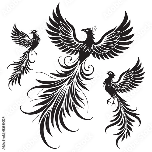 Black phoenixes Silhouette Vector, High Quality Illustration on White Background