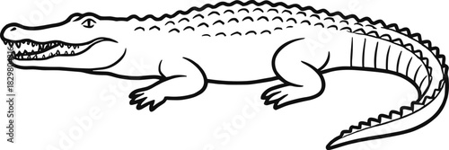 Crocodile Illustration – Isolated on Transparent Background Black and White Wild Reptile Vector Drawing