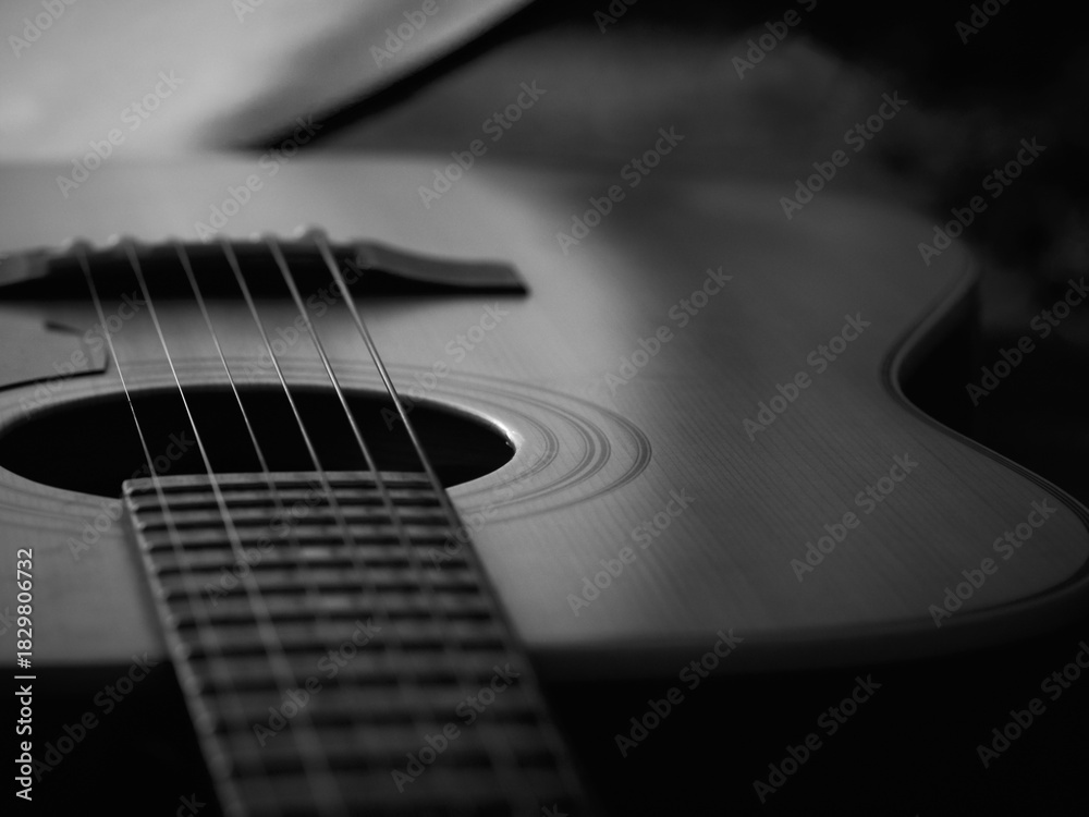 Fototapeta premium Monochrome photo of guitar with neck extending left, few frets in focus, rest of instrument softly blurred, light highlighting center and upper body, right side out 