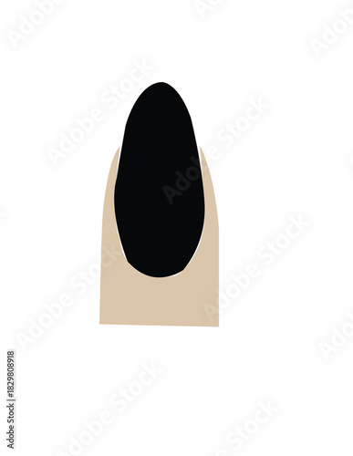 vector illustration of a black and white egg